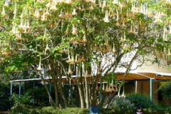 a4540351237092261-13466