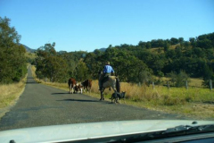 a4600091251532355-26734