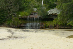 a4785711249796304-24868