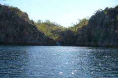 a4927011256858706-6468