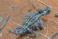 a4979241256299255-6248