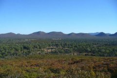 a5006011242907042-8697