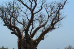 a5037041257805091-31500