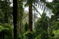 a5066141242907495-8697