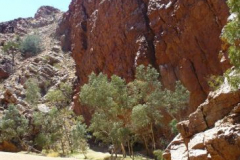 a5076891256300364-6248