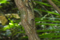 a5091121254174123-20106