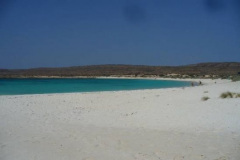 a5121001257805868-4100