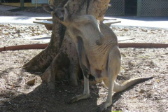 a5138951251532373-26734