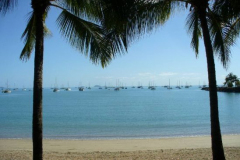 a5210141251533717-26734