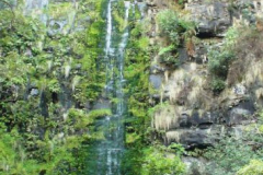 a5216311240141416-23393