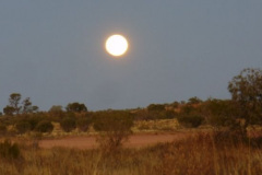 a5231291256300359-6248