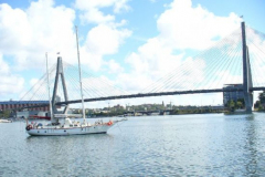 a5254261236825986-13923