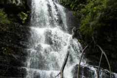 a5260441242907049-8697