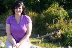 a5266381251532359-26734