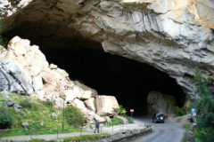 a5295001242907051-8697