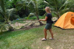 a5376231254173950-16265