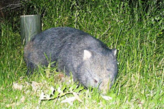 a5393581238665635-23783