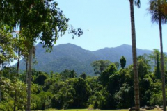 a5398371254173959-16265