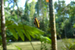 a5482011254173958-16265