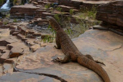 a5529011257805093-31500