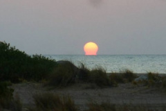 a5546661257805866-4100