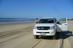 a5550941251532368-26734