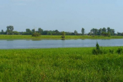 a5571411256858711-6468