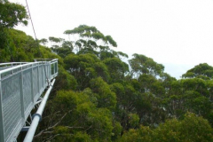 a5573981238069395-15961