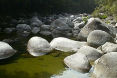 a5611001254174129-20106