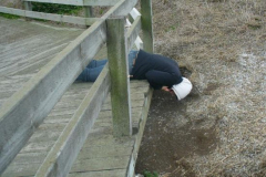 a5638291240141415-23393