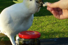 a5938131238062505-25119