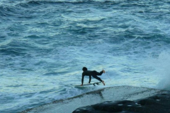 a6165041249796308-24868