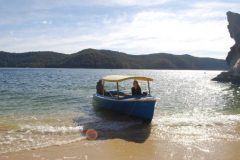 a6198471249798928-24868