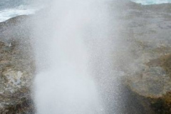 a6253851257805871-4100