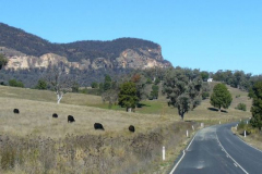 a6275131249798935-24868