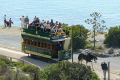 a6312691242907039-8697