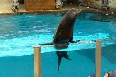 a6340901237593359-12097