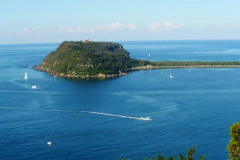 a6469591242907504-8697