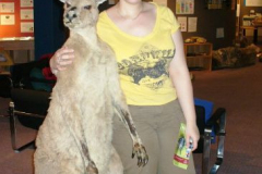 a6513921237376753-13259