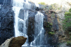 a6533611240199177-10699