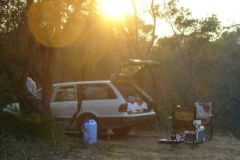 a6574211238665632-23783