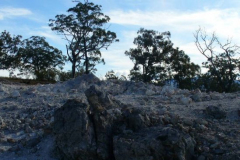 a6599391249798934-24868