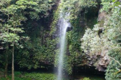 a6664131251532361-26734