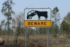 a6677171256299250-6248