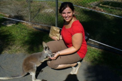 a6730801254173445-16265