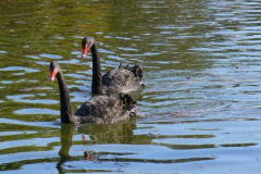 a6750801242907503-8697