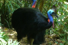 a6779181254173443-16265