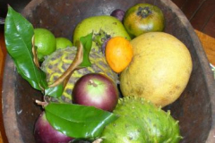 a6781431254174127-20106