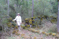 a6848401240199176-10699