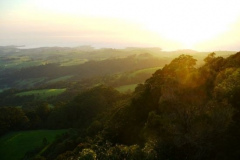 a6907651238065407-15961